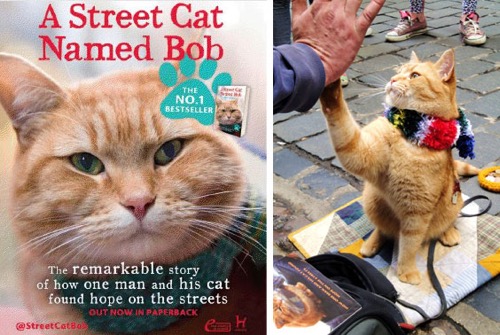 ロンドンの猫ボブ