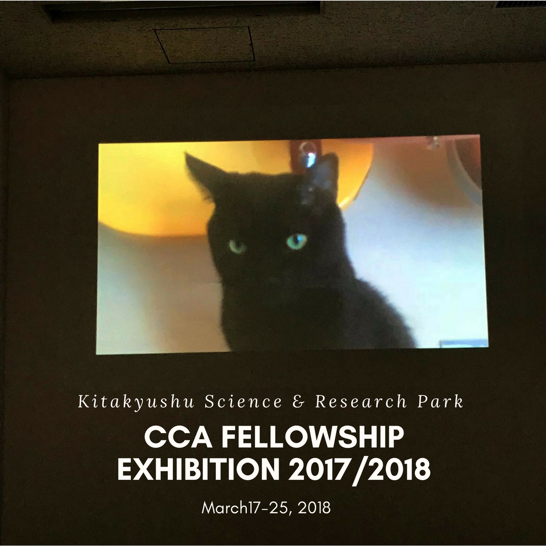 an installation byHarriet Rickard 