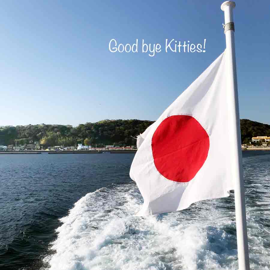 さよなら相島のニャンコたち