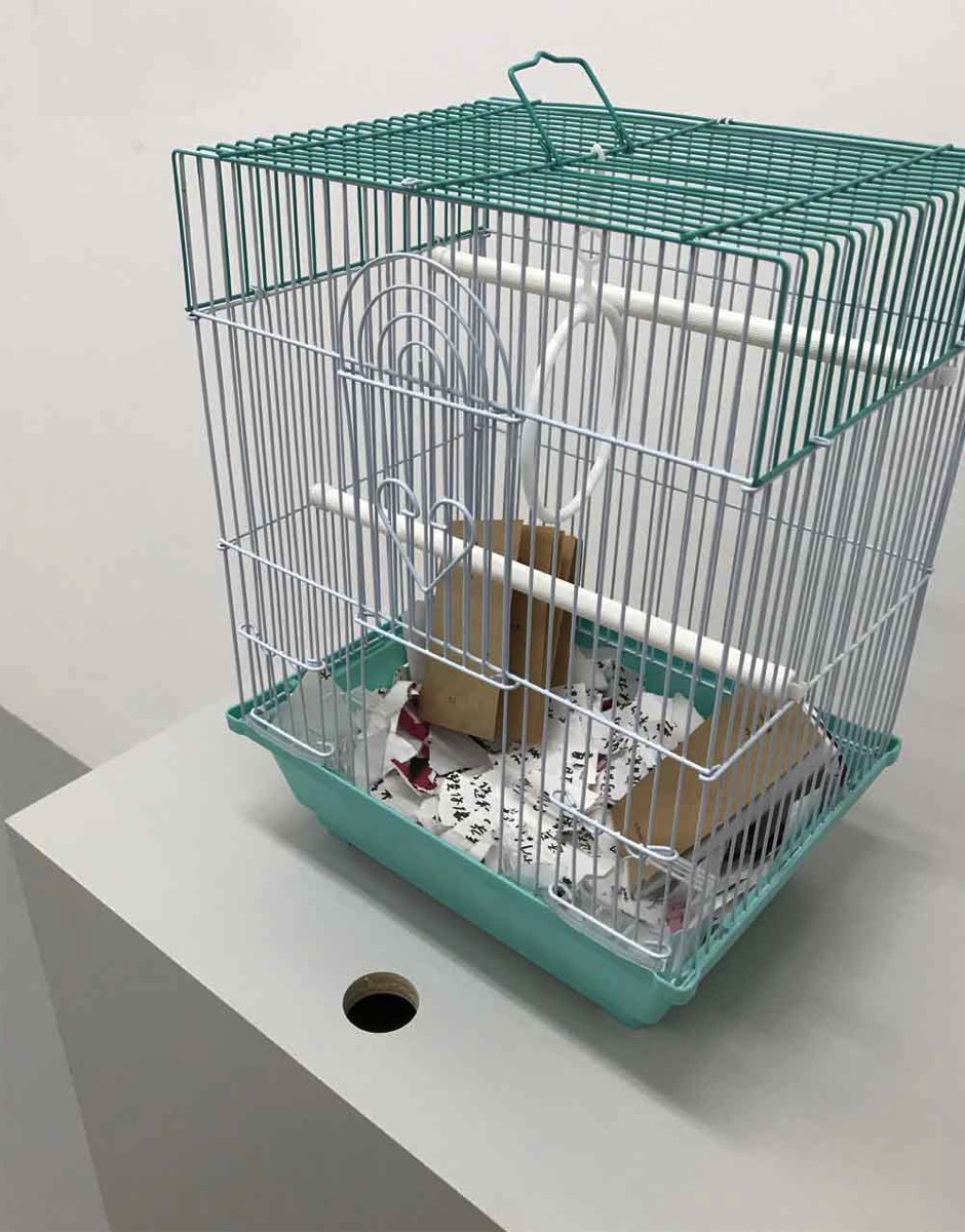 jasphyzheng play with letters in terms of communication