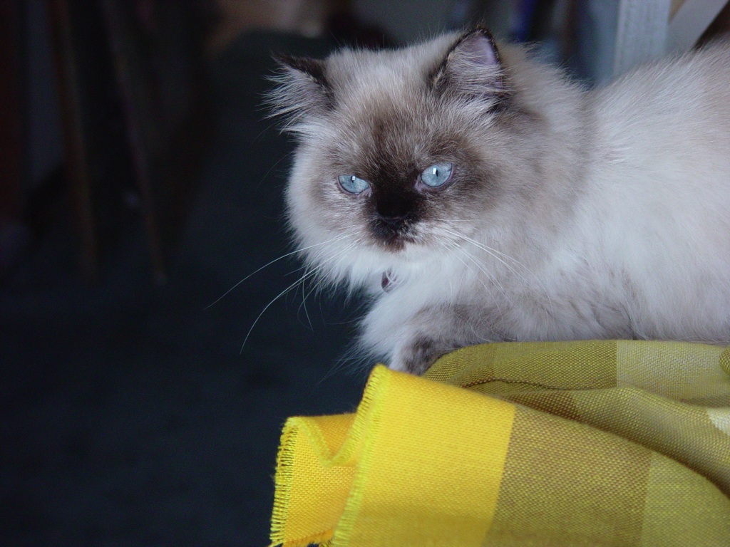 Betty curiously looking down