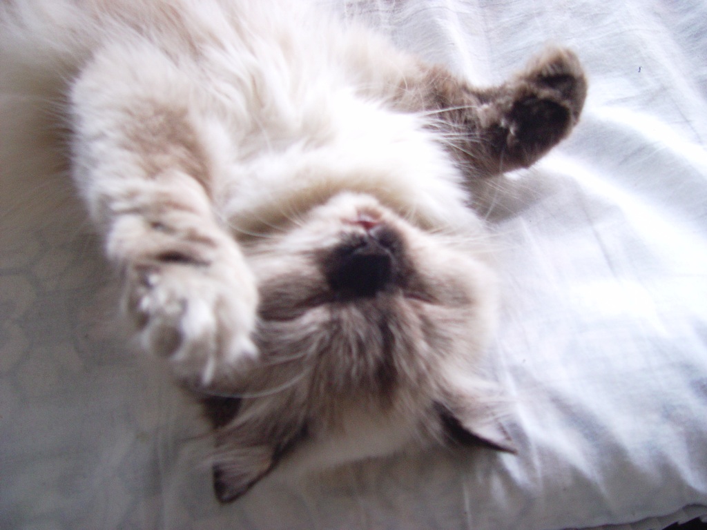 Betty is heavily sleeping