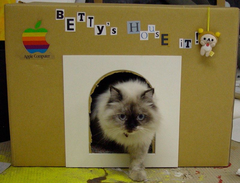 betty in and out of the box 