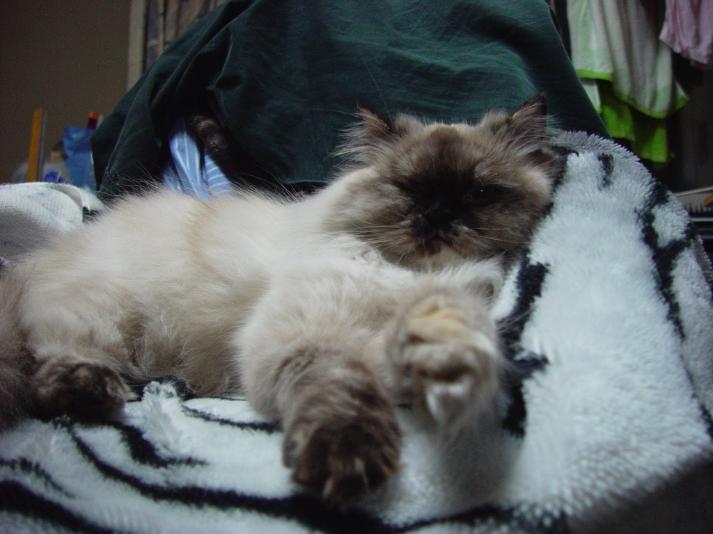 Betty lay back in my room