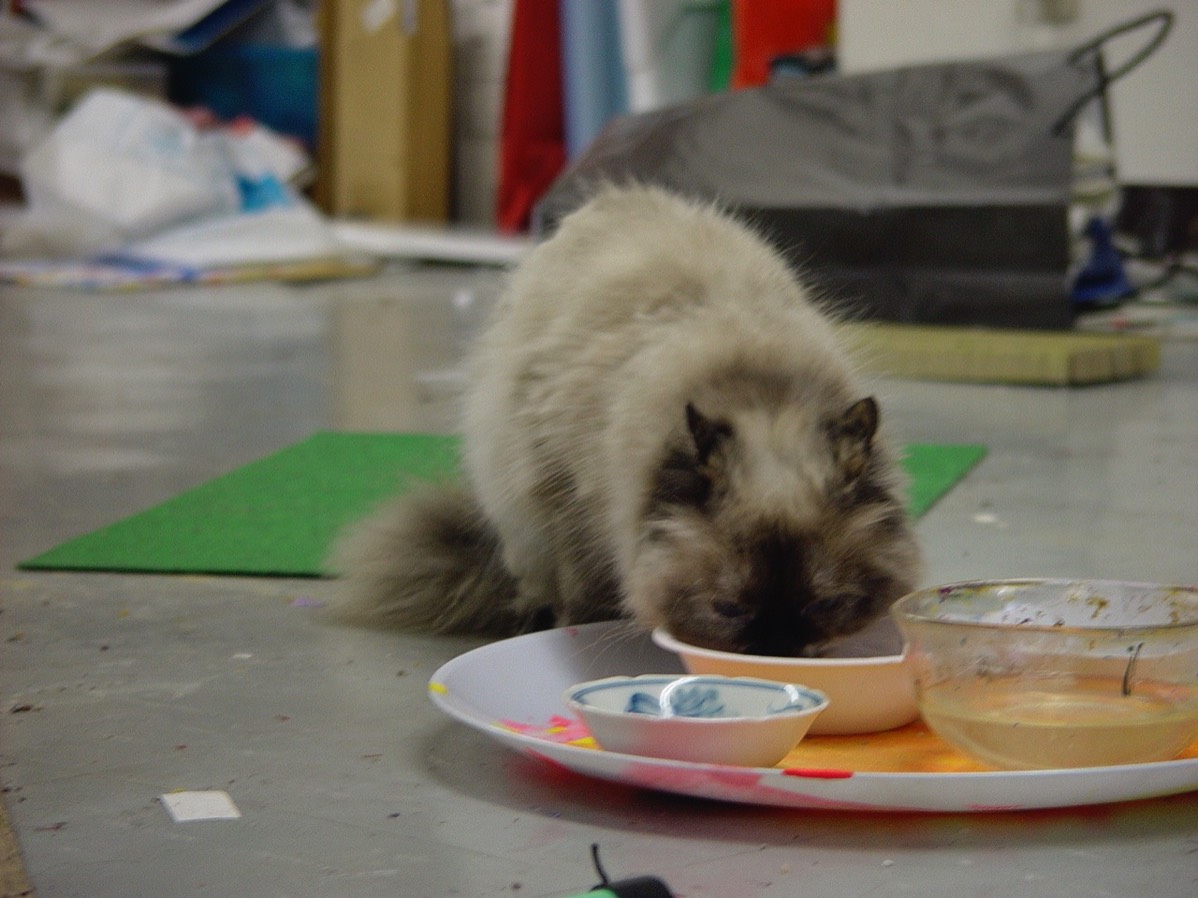 Betty eatikng in my studio