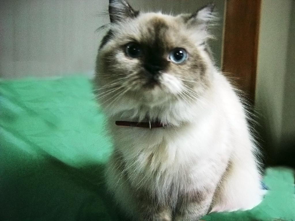 adorable front of view Betty in my room