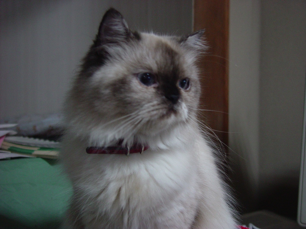 Betty seems to be a bit lonly face