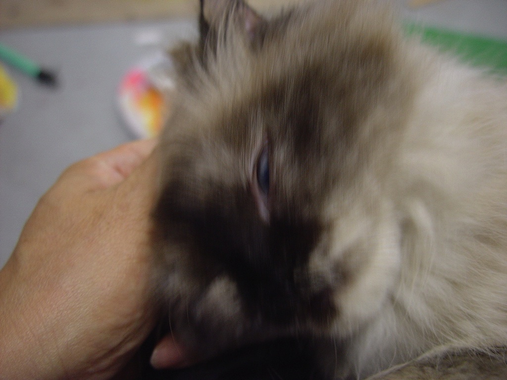 Betty is getting an affection