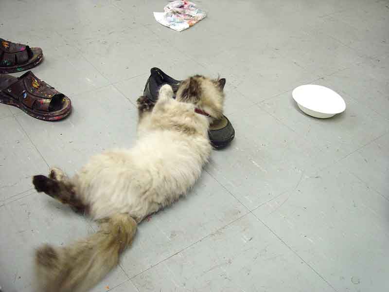 rest on the shoes as a pillow